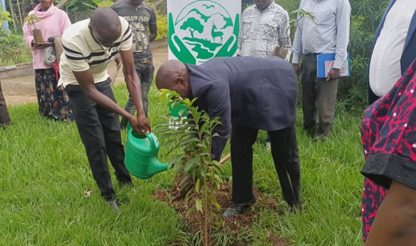 A launch for tree planting campaign btn cbspewosa and budanet.org in nkozi sub county headquarters